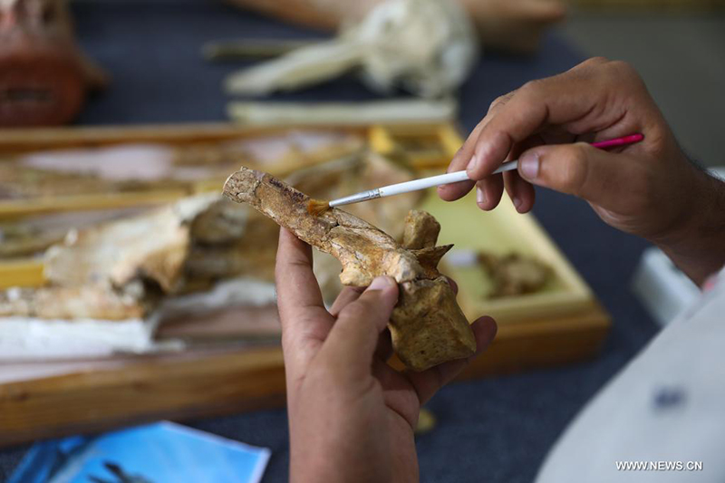 ????? : ?????? ??? ???? ?????? ??? ??? 43 ????? ??? ???? ?? ??? ????????