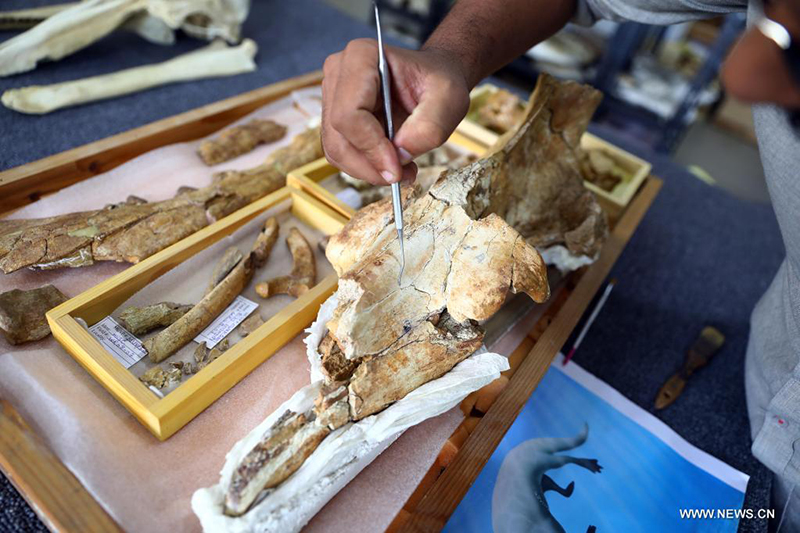 ????? : ?????? ??? ???? ?????? ??? ??? 43 ????? ??? ???? ?? ??? ????????