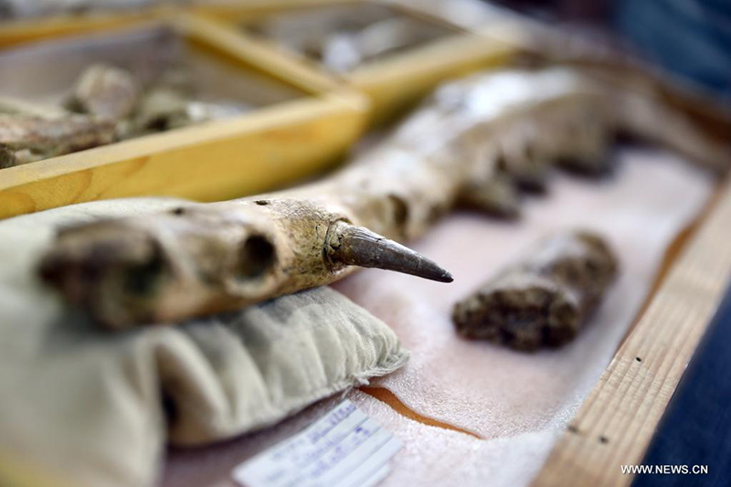 ????? : ?????? ??? ???? ?????? ??? ??? 43 ????? ??? ???? ?? ??? ????????