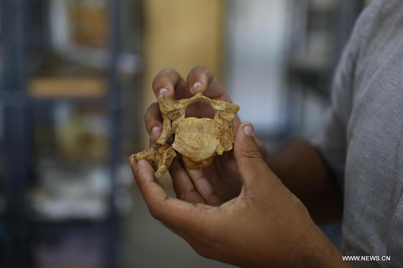 ????? : ?????? ??? ???? ?????? ??? ??? 43 ????? ??? ???? ?? ??? ????????