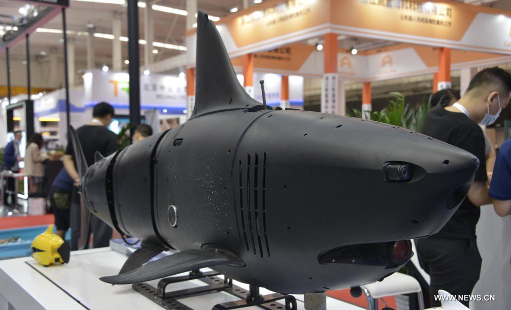 ?????? ?????? ?? ????? ??????? ??????? 2021