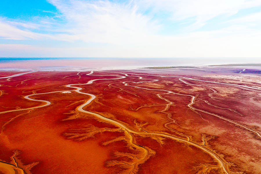 ???? ???????? ???? ?????? ?????? ?? ?????? ???????