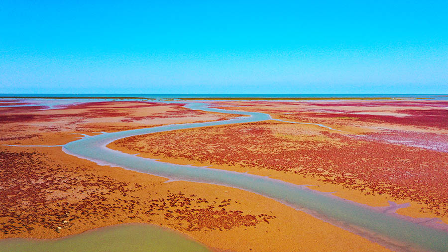 ???? ???????? ???? ?????? ?????? ?? ?????? ???????