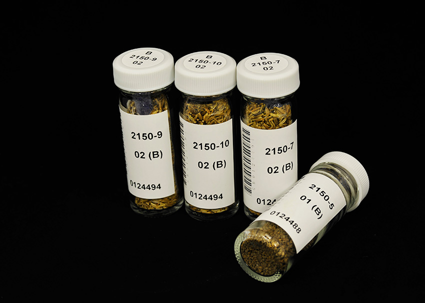 ??? ?????? ?? ?????? ??????? ????? ??? ?????? ?????? ?? ?????