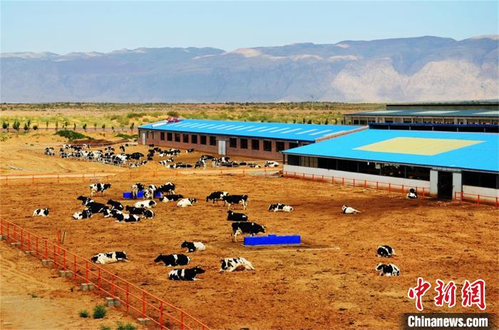 ???? ??????? ?? ???? ???? ????? ?????