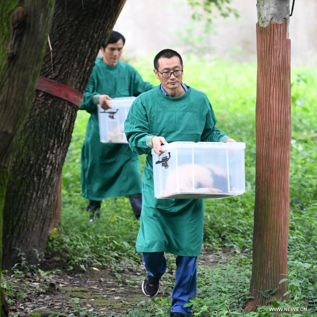 ????? ?????????? ????????? ???? ??????? ??? ?????? ????? ????? ?????