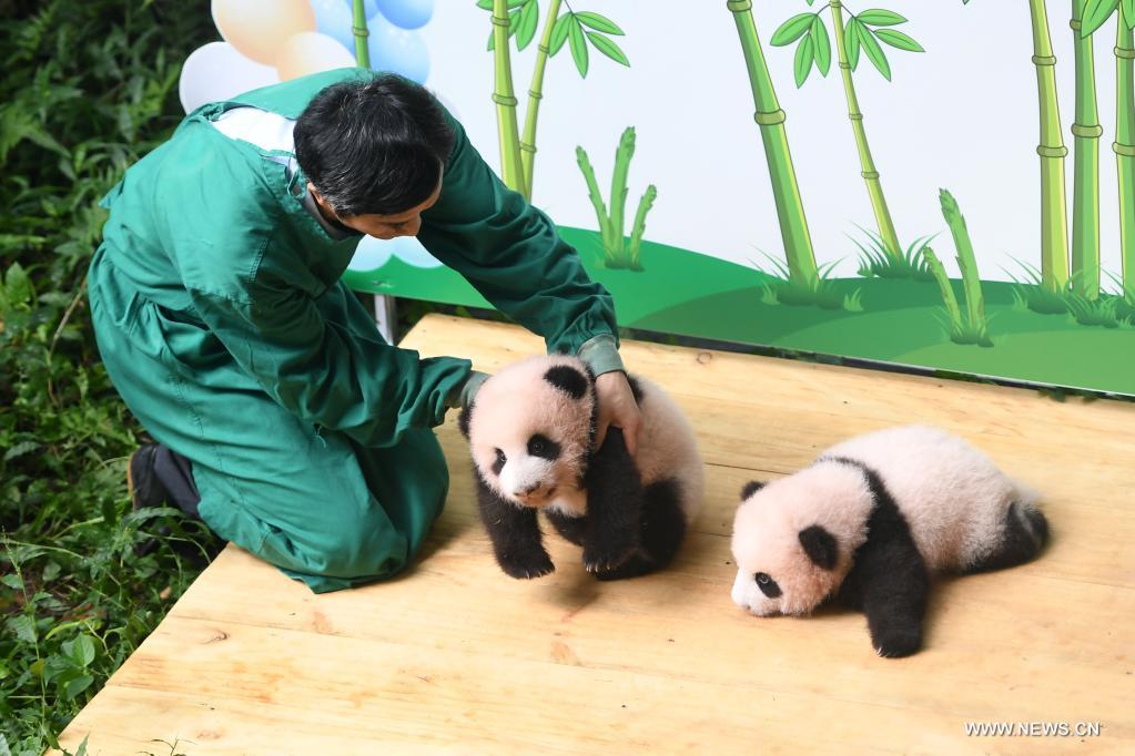 ????? ?????????? ????????? ???? ??????? ??? ?????? ????? ????? ?????