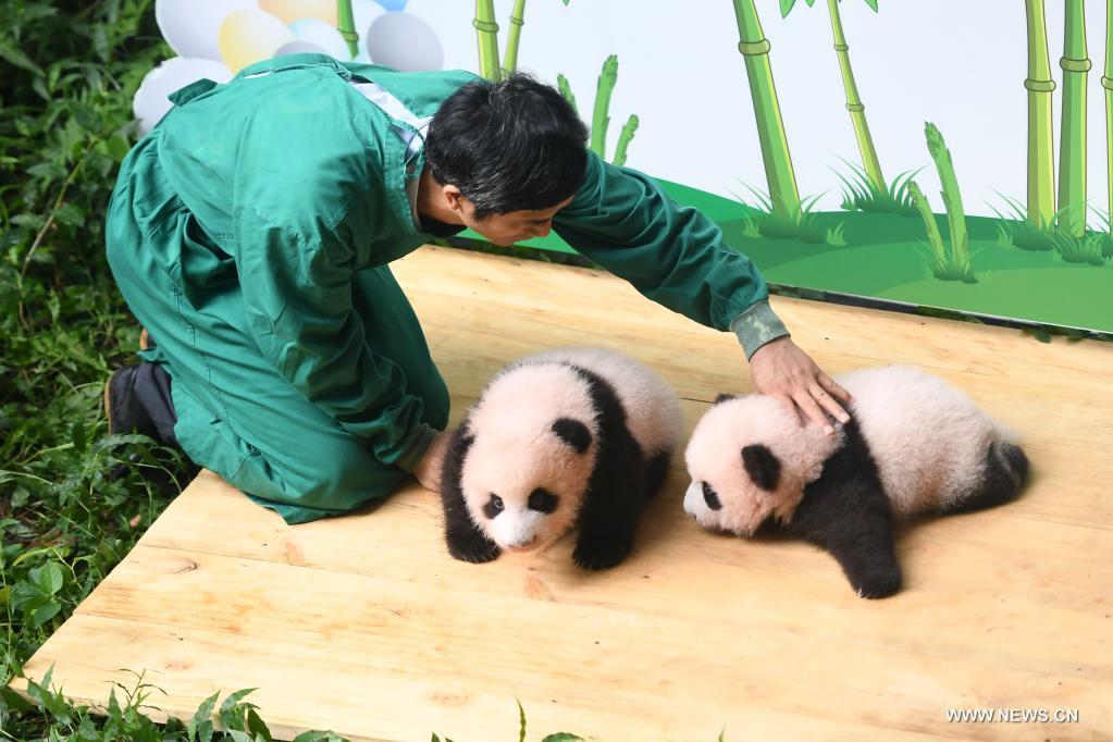 ????? ?????????? ????????? ???? ??????? ??? ?????? ????? ????? ?????