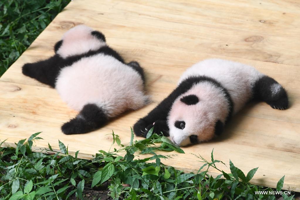 ????? ?????????? ????????? ???? ??????? ??? ?????? ????? ????? ?????