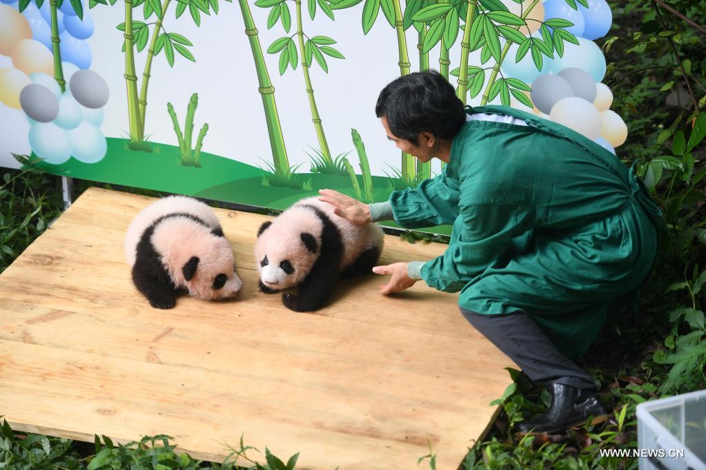 ????? ?????????? ????????? ???? ??????? ??? ?????? ????? ????? ?????