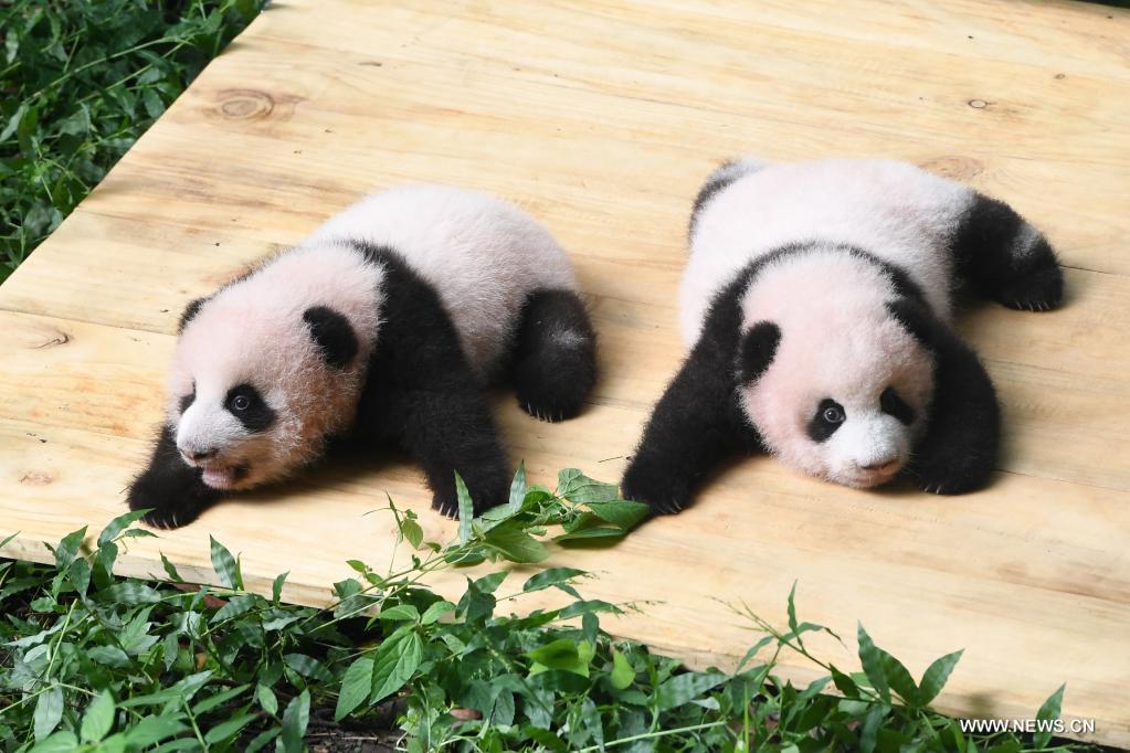 ????? ?????????? ????????? ???? ??????? ??? ?????? ????? ????? ?????