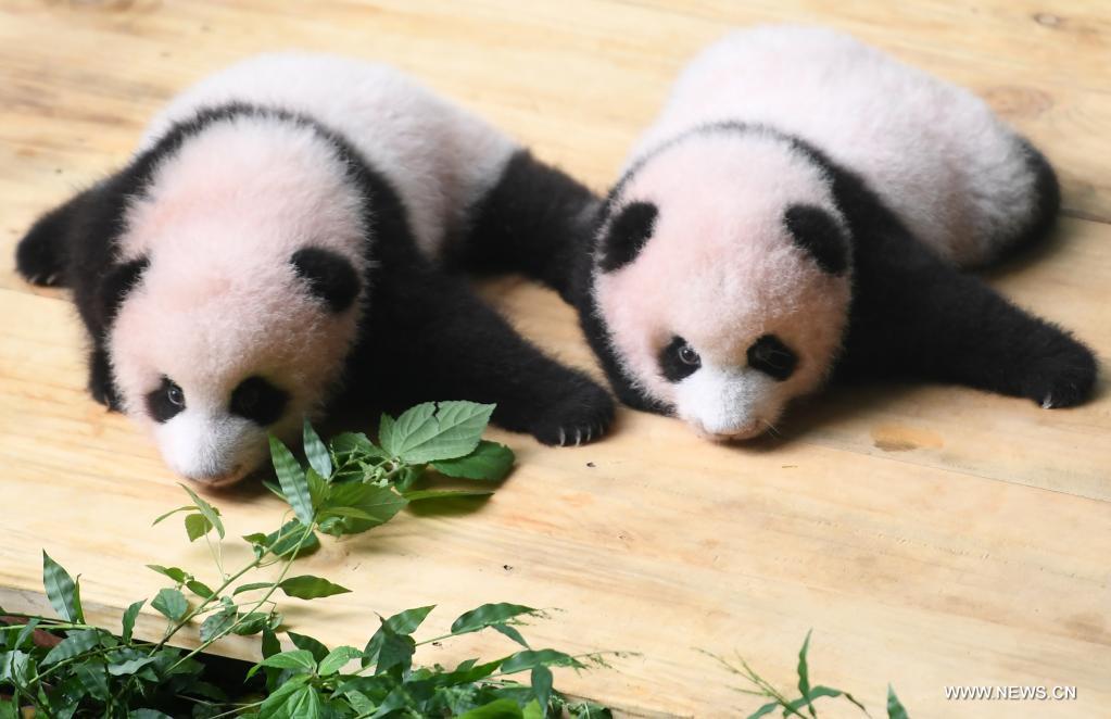 ????? ?????????? ????????? ???? ??????? ??? ?????? ????? ????? ?????