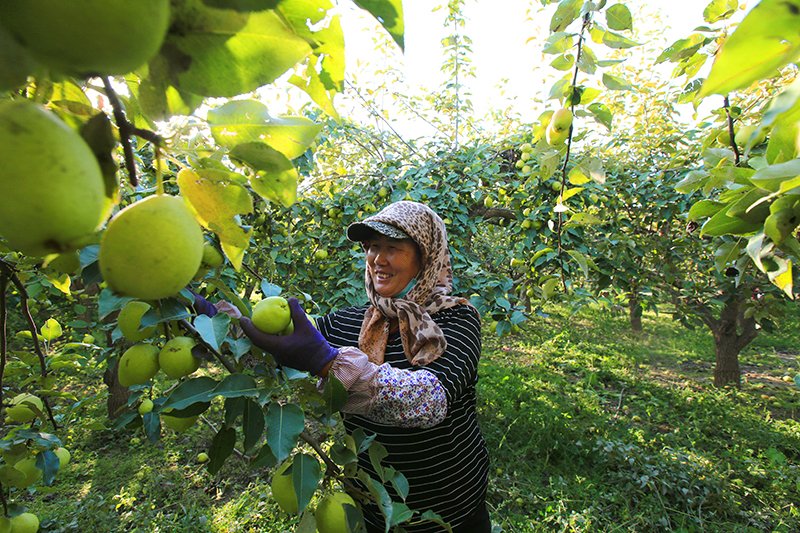 ??? ???? ??? ??????? ?? ?????????? ??????