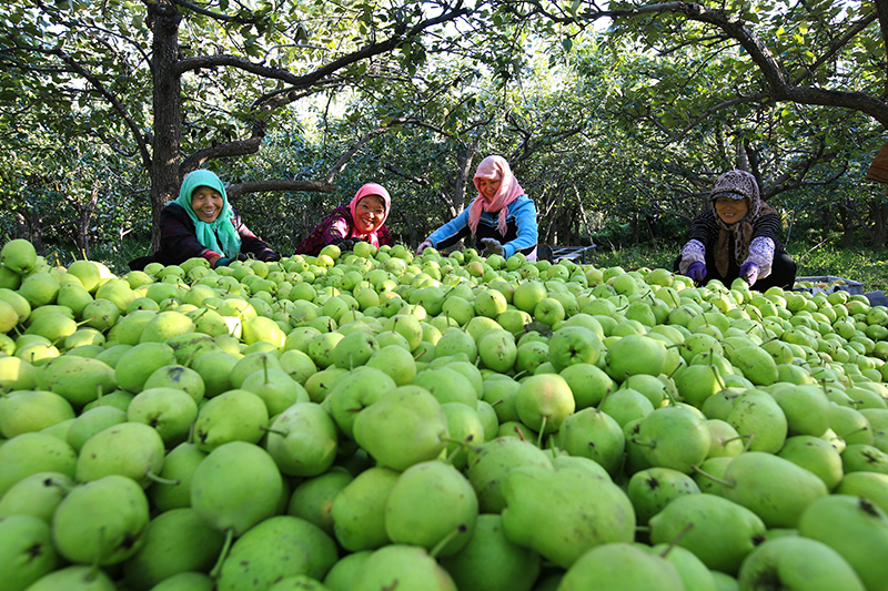 ??? ???? ??? ??????? ?? ?????????? ??????