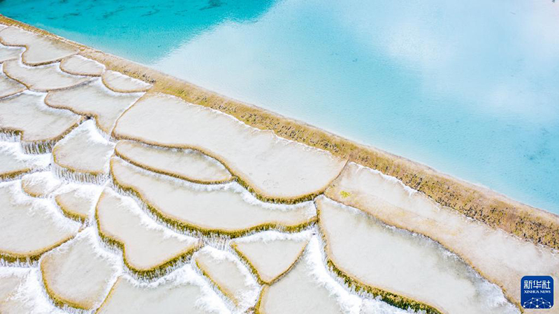 ???? ????? ?????? ?????? ?? ??????