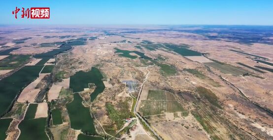 ????? ????? ?? ???? ???? ????? ?? ?????