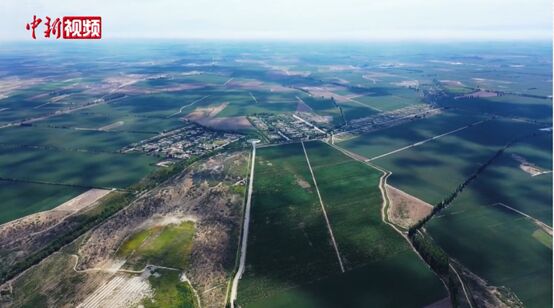 ????? ????? ?? ???? ???? ????? ?? ?????