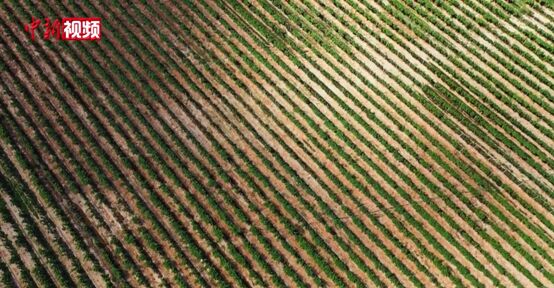 ????? ????? ?? ???? ???? ????? ?? ?????