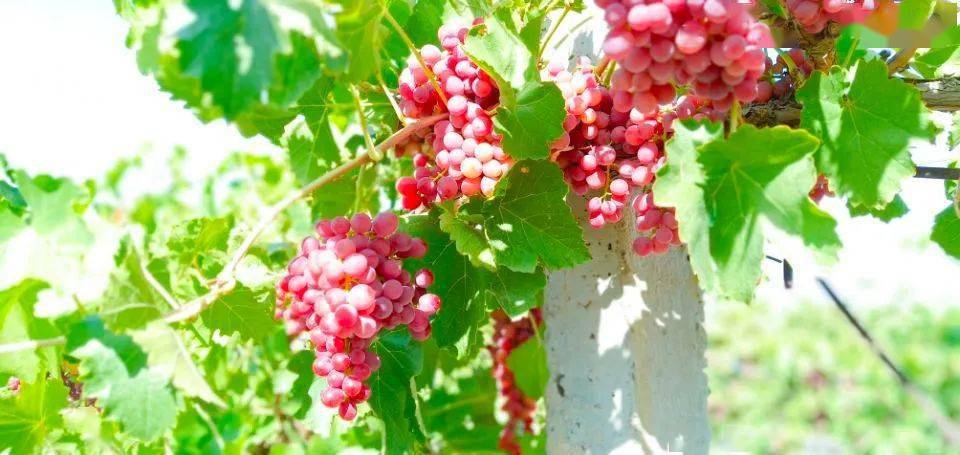 ????? ????? ?? ???? ???? ????? ?? ?????