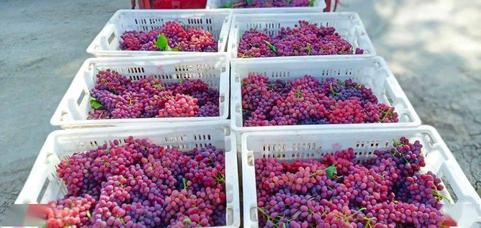 ????? ????? ?? ???? ???? ????? ?? ?????