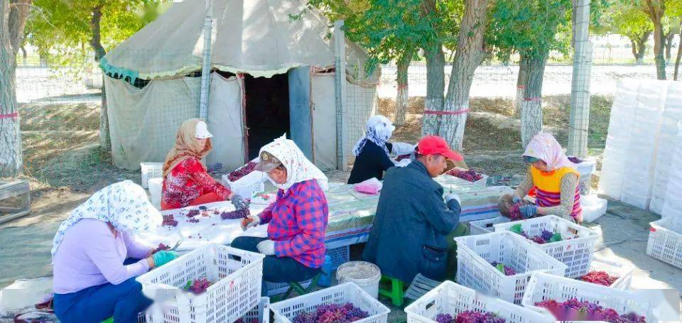 ????? ????? ?? ???? ???? ????? ?? ?????