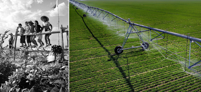 ???? ???? ?????? ????? ?? ????? ??????? ???????