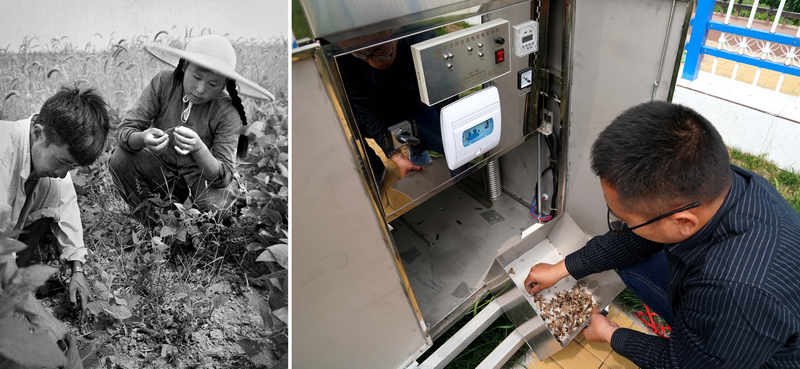 ???? ???? ?????? ????? ?? ????? ??????? ???????