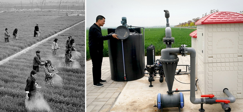 ???? ???? ?????? ????? ?? ????? ??????? ???????