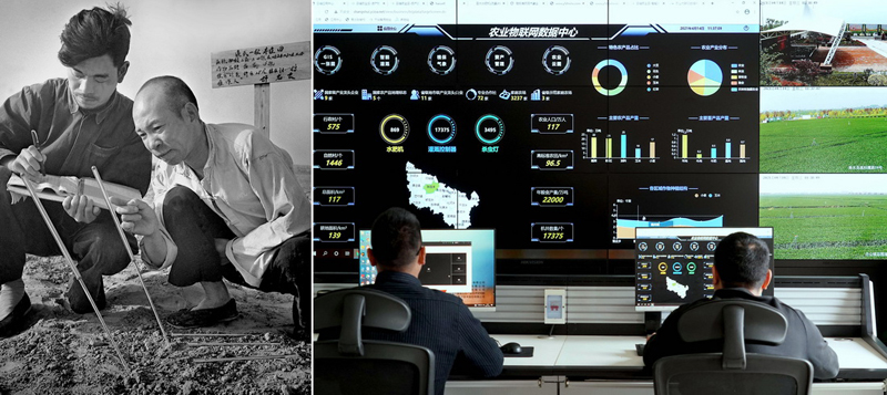 ???? ???? ?????? ????? ?? ????? ??????? ???????