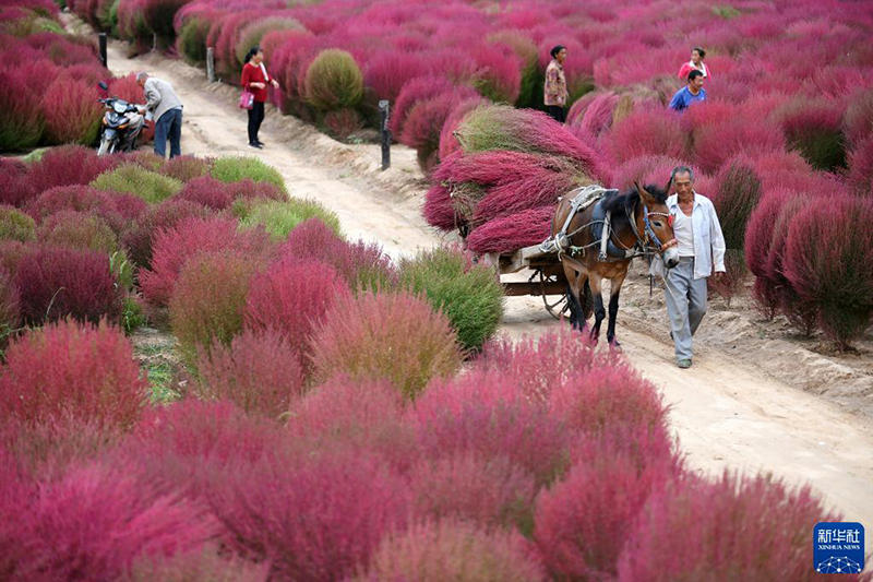 ????? ???? ??????? ?? ???? ????????? ??????