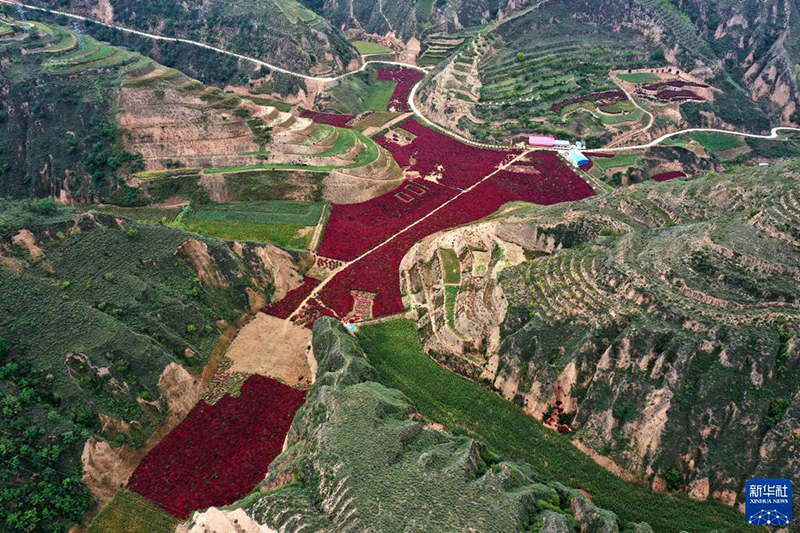 ????? ???? ??????? ?? ???? ????????? ??????