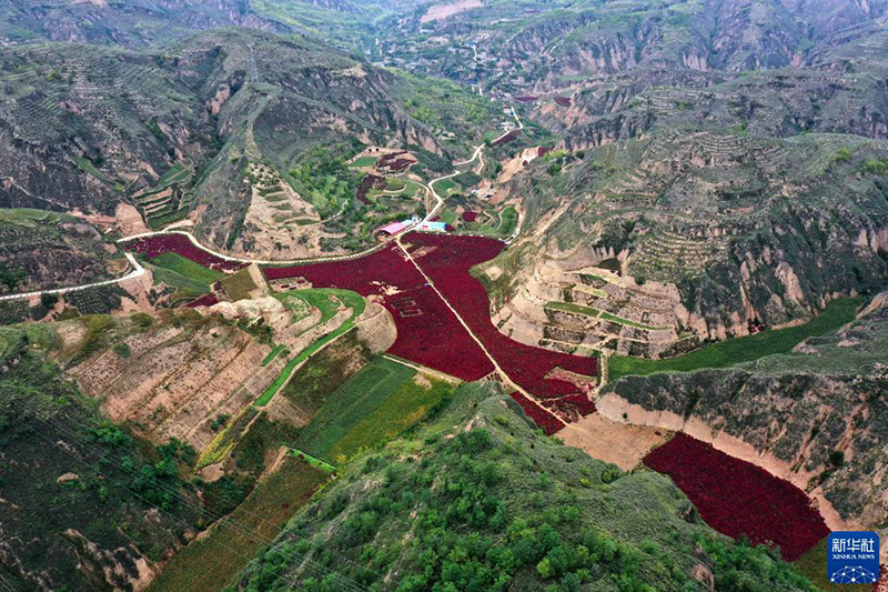 ????? ???? ??????? ?? ???? ????????? ??????