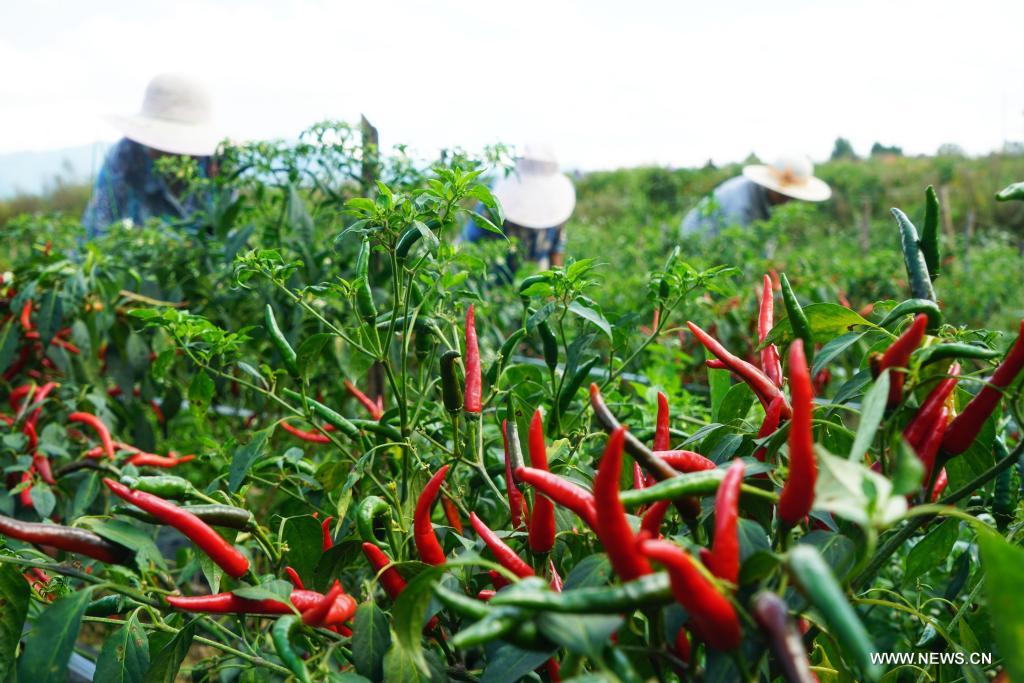 ???? ????? ?????? ????? ?? ?????? ?????? ????? ???? ?????