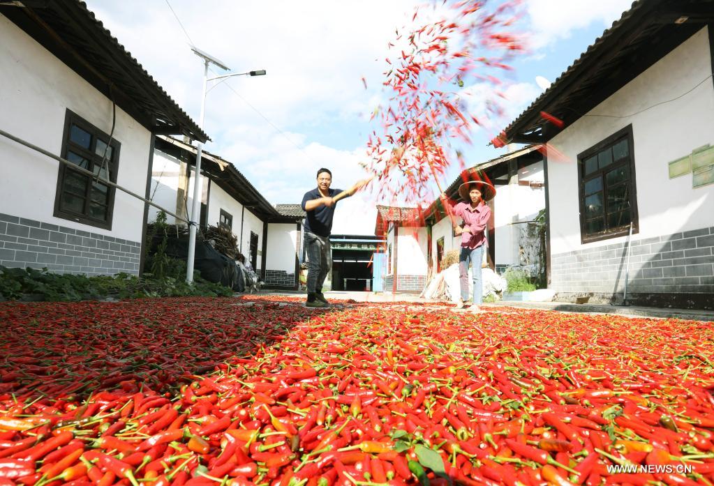 ???? ????? ?????? ????? ?? ?????? ?????? ????? ???? ?????