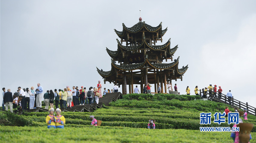 ???? ????????? ????.. ????? ????? ?????