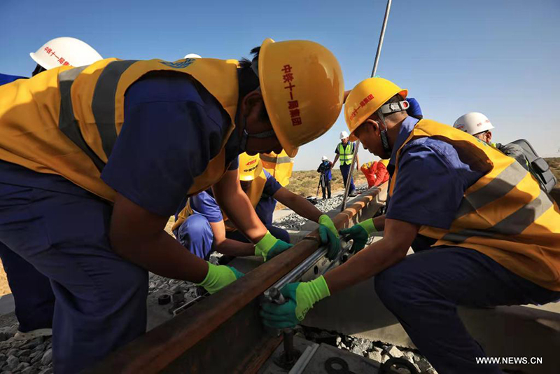 ?????? ????? ?? ?? ??? ???? ????? ?? ????? ???????? ???????