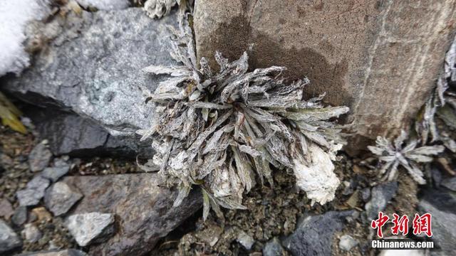 ????? ?????? ??????? ???? ??? ???? ??? ??? ???????????