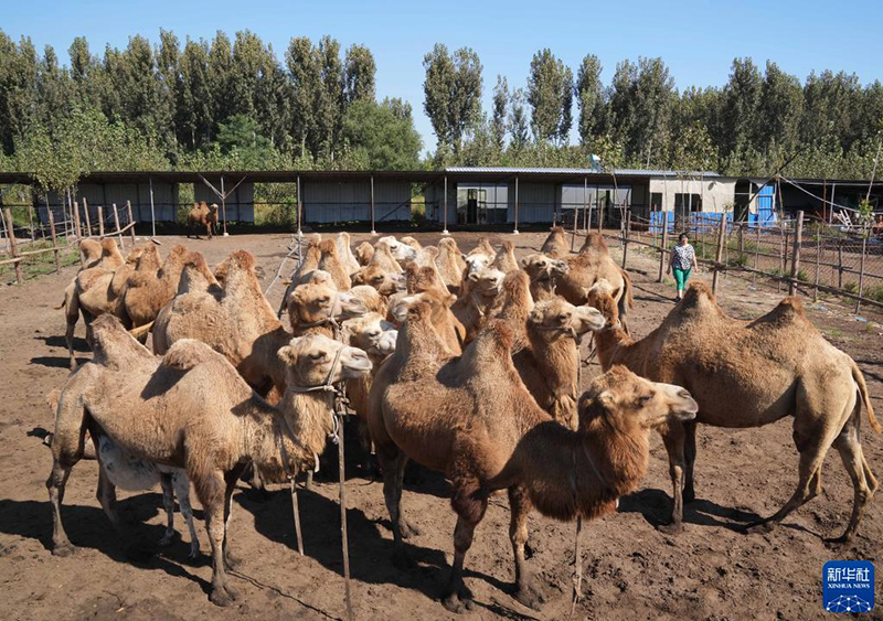 ???? ?????? ... ???????? ???? ??? ????? ????? ?? ????? ??????? ???