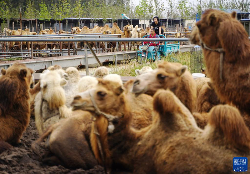 ???? ?????? ... ???????? ???? ??? ????? ????? ?? ????? ??????? ???