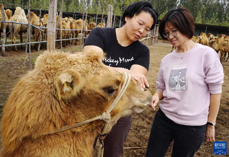 ???? ?????? ... ???????? ???? ??? ????? ????? ?? ????? ??????? ???