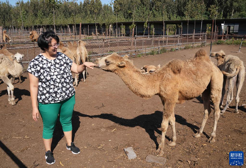 ???? ?????? ... ???????? ???? ??? ????? ????? ?? ????? ??????? ???