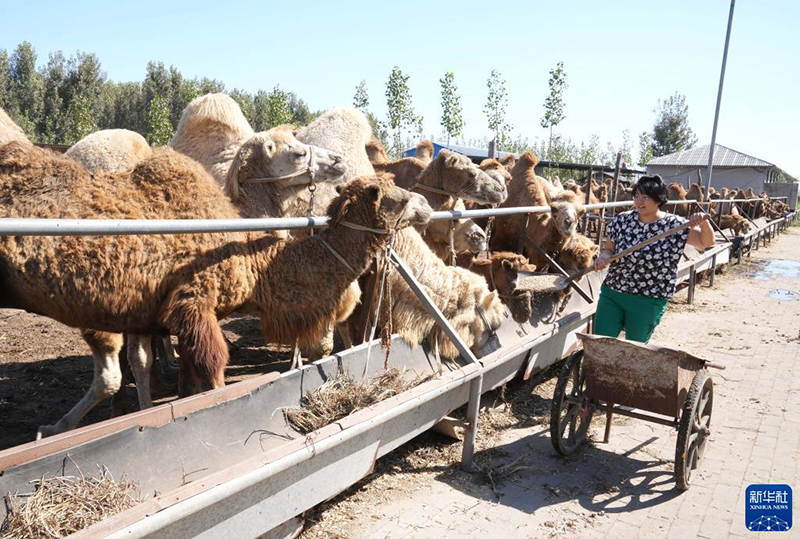 ???? ?????? ... ???????? ???? ??? ????? ????? ?? ????? ??????? ???