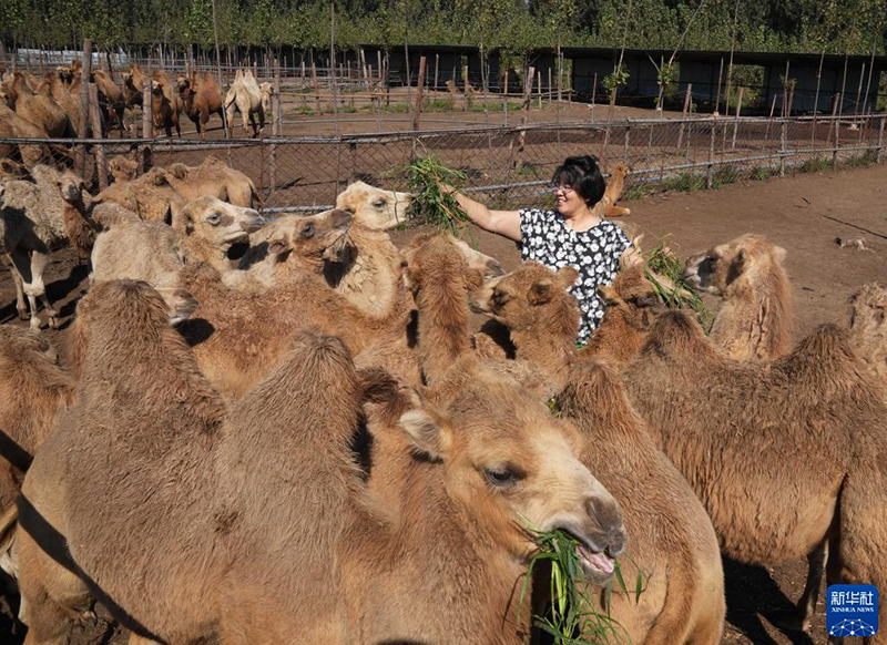 ???? ?????? ... ???????? ???? ??? ????? ????? ?? ????? ??????? ???