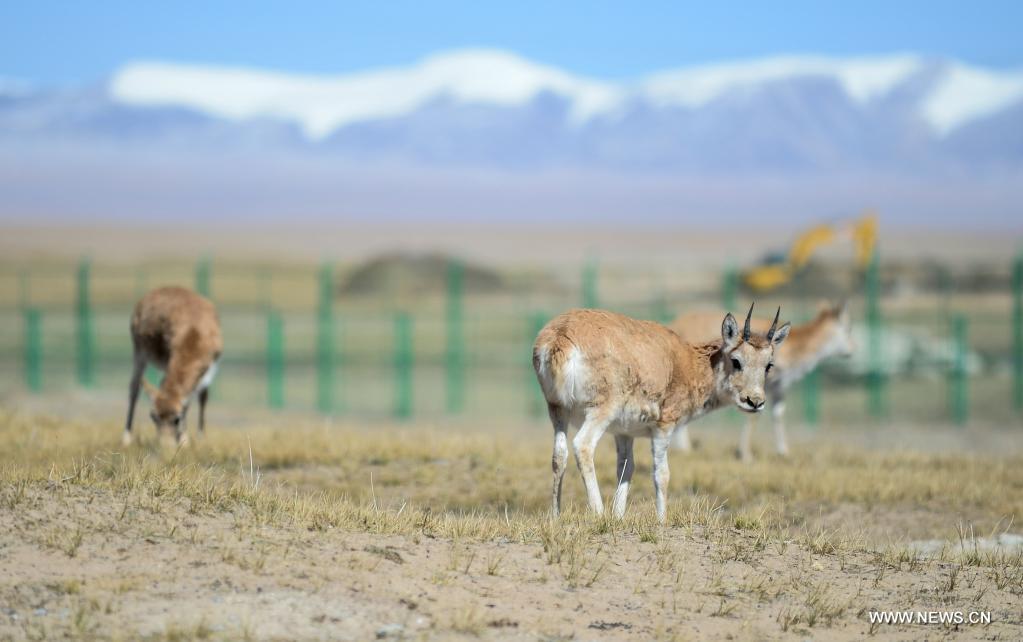 ????? ???? ????? ?? ???? ???? ?????