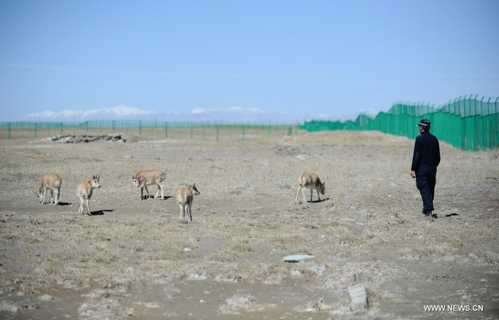 ????? ???? ????? ?? ???? ???? ?????