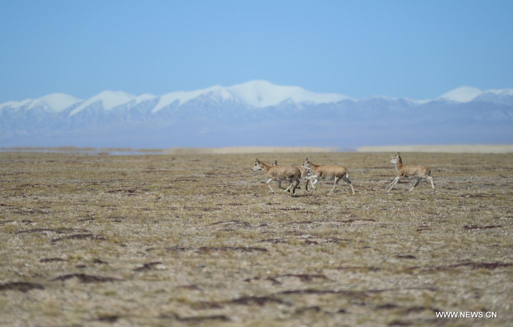 ????? ???? ????? ?? ???? ???? ?????