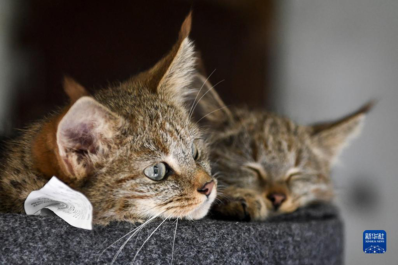 ?????? ??????.. ????? ????????? ???? ?????? ?? ???? ??? ?????