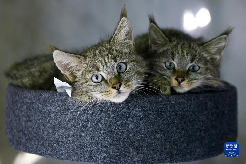 ?????? ??????.. ????? ????????? ???? ?????? ?? ???? ??? ?????