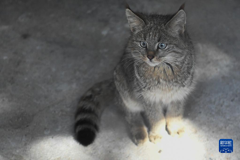 ?????? ??????.. ????? ????????? ???? ?????? ?? ???? ??? ?????