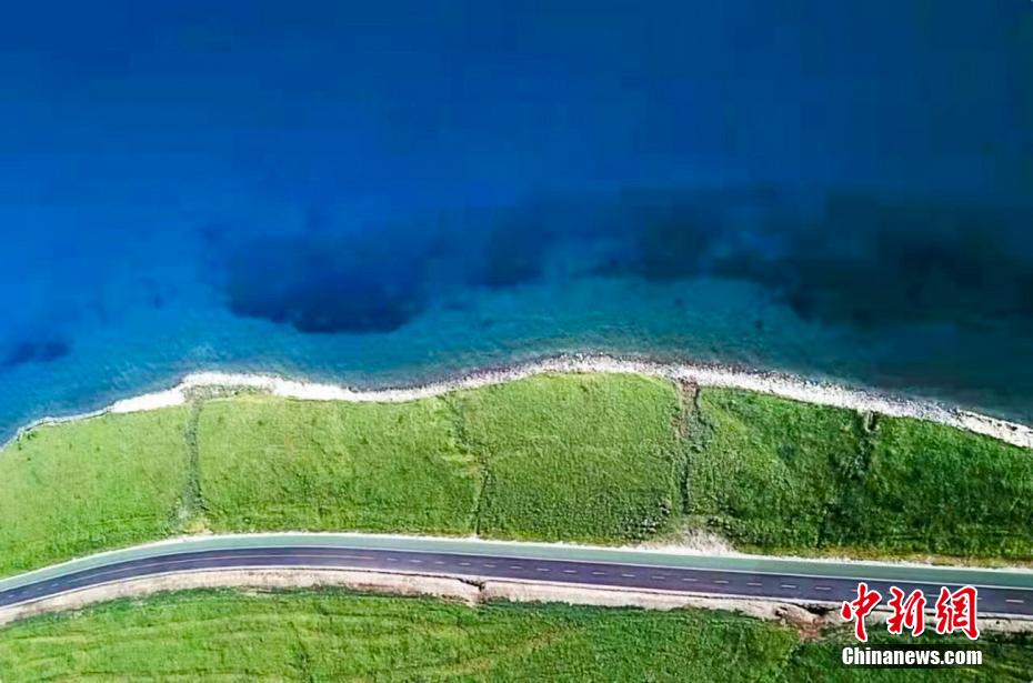 ????? ?????? ?? ???????? .. ???? ?????? ??????? ???????